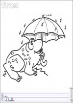 coloriage-grenouille-3